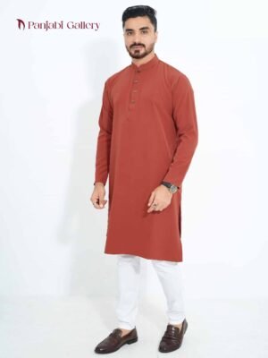 প্রিমিয়াম মাইক্রো স্টিজ ভাঙচুর ফেব্রিকের পাঞ্জাবি