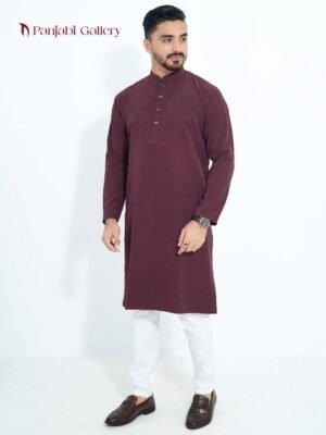 প্রিমিয়াম মাইক্রো স্টিজ ভাঙচুর ফেব্রিকের পাঞ্জাবি